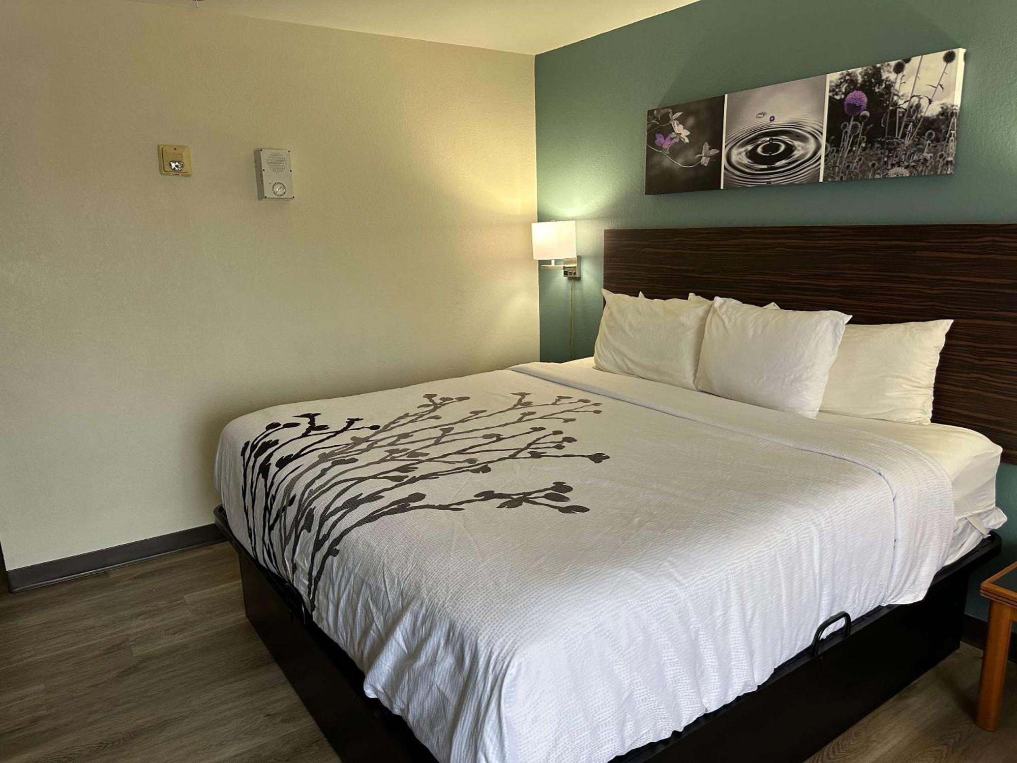 Hotel Sleep Inn&suites - Alexandria