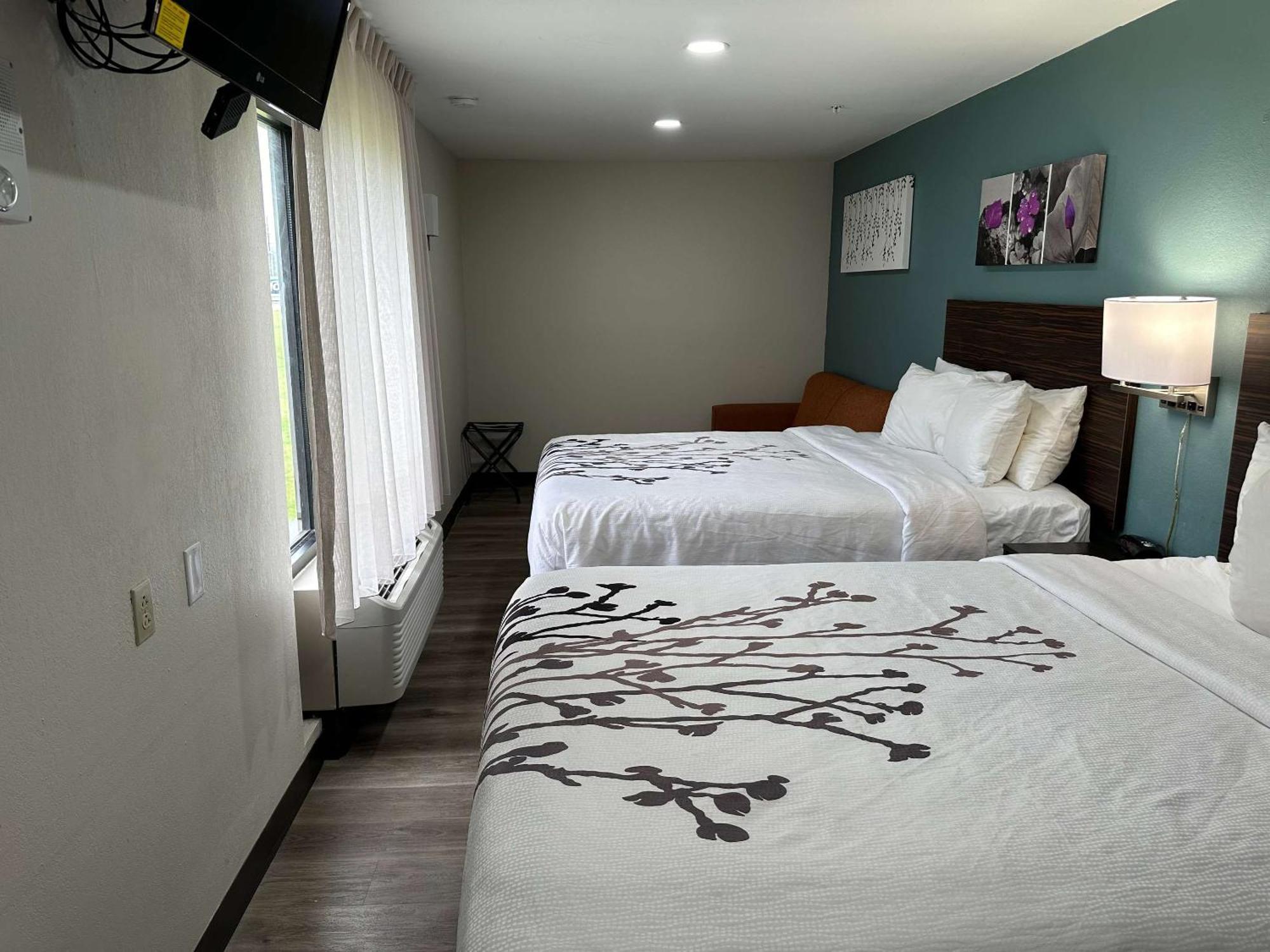 Sleep Inn&suites - Alexandria Hotel Pineville